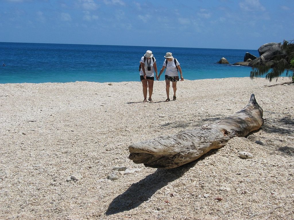 162 Fitzroy Island.jpg